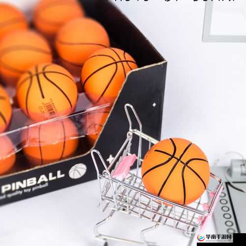 篮球队的公共玩具正伟之旅：一段充满挑战与成长的独特旅程