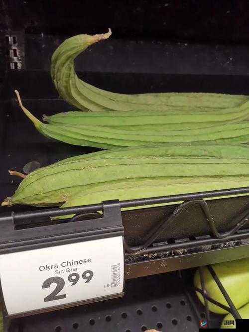 污草莓樱桃丝瓜秋葵榴莲黄瓜白狐:它们的奇妙世界与独特魅力