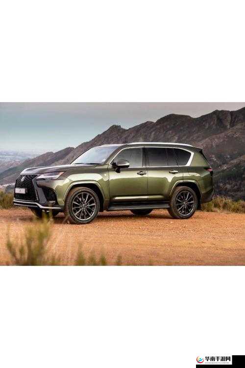 国产无人区码 SUV：探索未知的极致之选