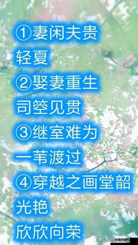 穿越之继室难为：1V2 的宅斗之路