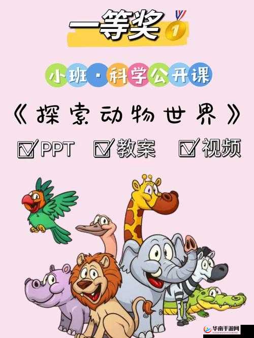 ZoomKooL 牧场免费观看：探索神奇的动物世界