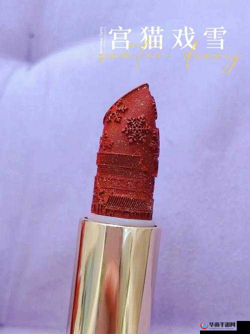 YSL 千人千色 T9T9T90 使用感受:亲测后的真实反馈