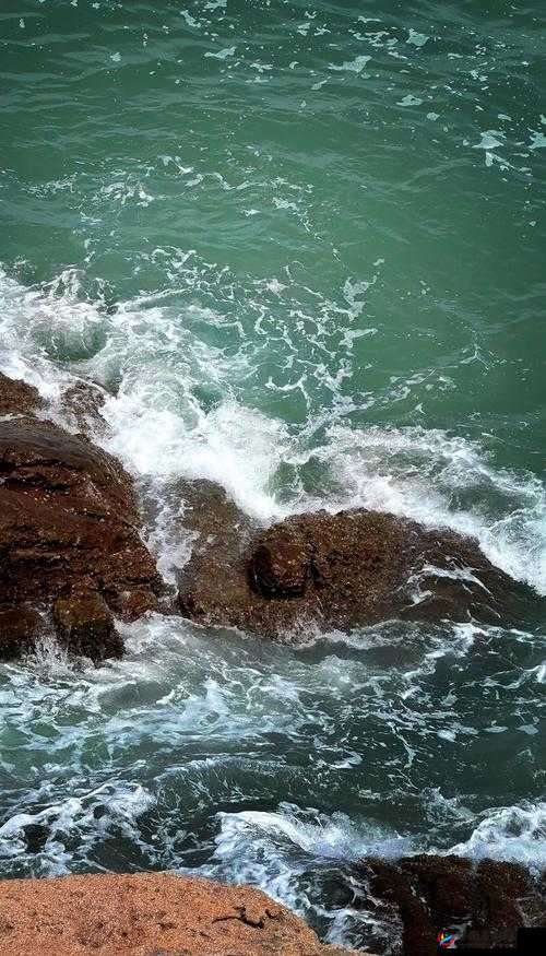 桃花岛 cm7:探寻神秘岛屿的冒险之旅