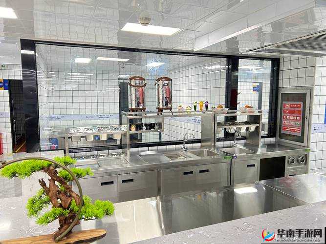 厨房为何总是需要刷碗：探究其背后原因及应对策略