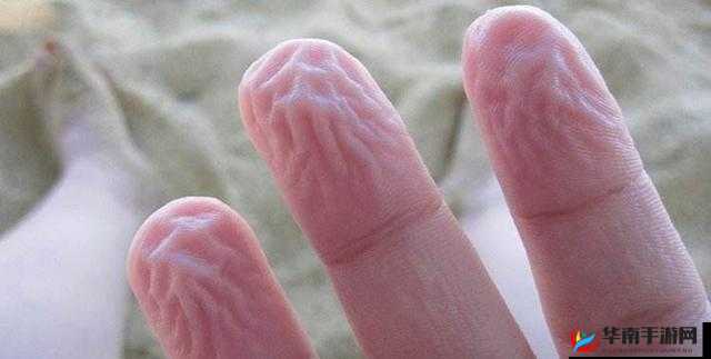 手指划入缝隙挖水的技巧是什么：实用指南与要点解析