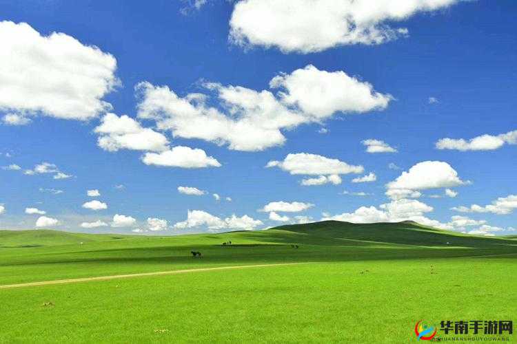 天堂草原最受欢迎的角色：带你领略草原魅力的璀璨之星