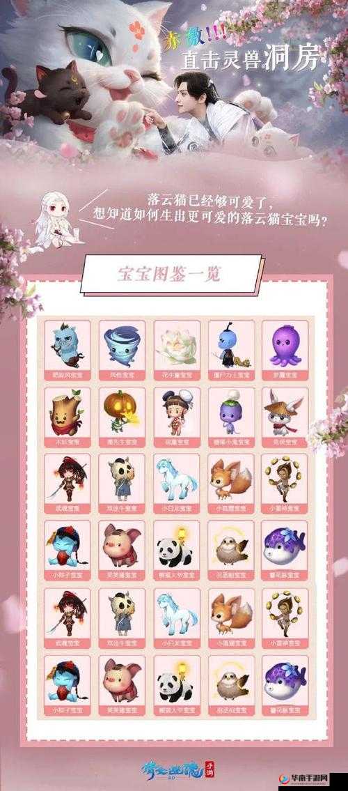 倩女幽魂手游灵兽成长属性详解介绍