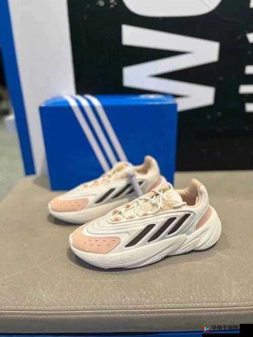 三叶草 gy6793：探索未知的奇幻之旅