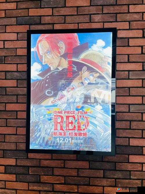 成都私人小影院品牌加盟海贼王：开启独特观影之旅的绝佳选择