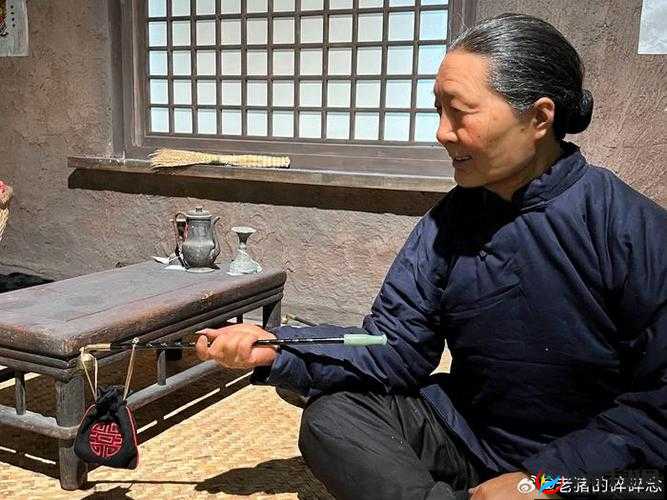 中国 bgmbgmbgm 老太太毛多多：一个时代的记忆与思考