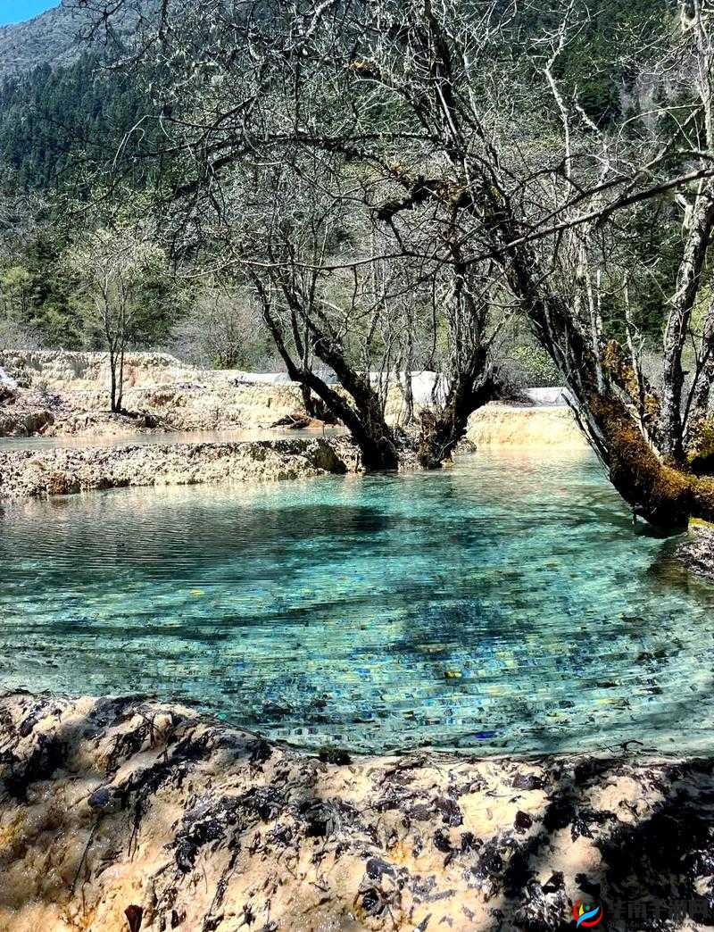 黄龙直捣溪水潺潺，那灵动之景令人陶醉