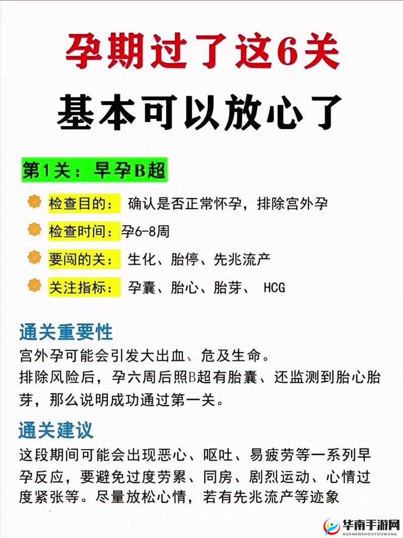 WINDOWSCHANNEL 孕妇：关于其孕期生活与注意事项的探讨