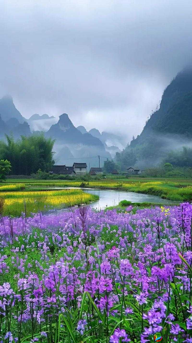 芳草萋萋流水潺潺美不可言：体验大自然的宁静与美丽