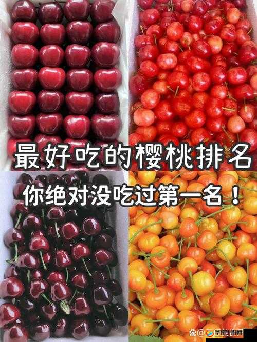 红颜樱桃和黄蜜樱桃的区别：外观口感营养全方位解析