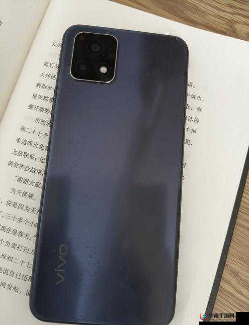 一级成色好的 Y31S 标准版评测最近超火爆- 全方位解析该产品的优势与特点