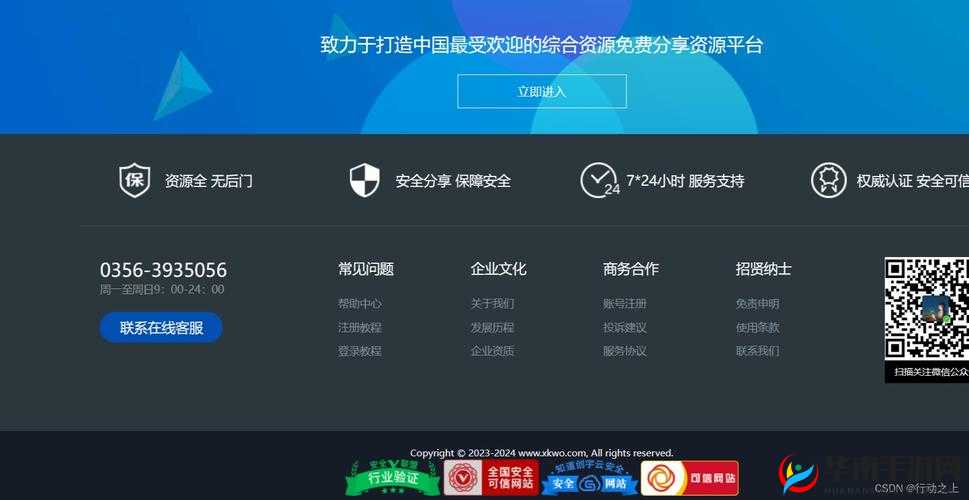 wwwexamplecom 这是一个很重要的网站代码