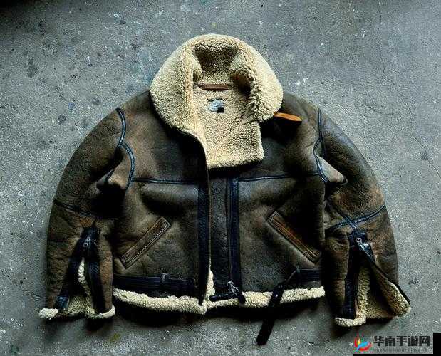 AAAA 级毛皮是正规品牌吗:关于其品牌的详细探讨与研究