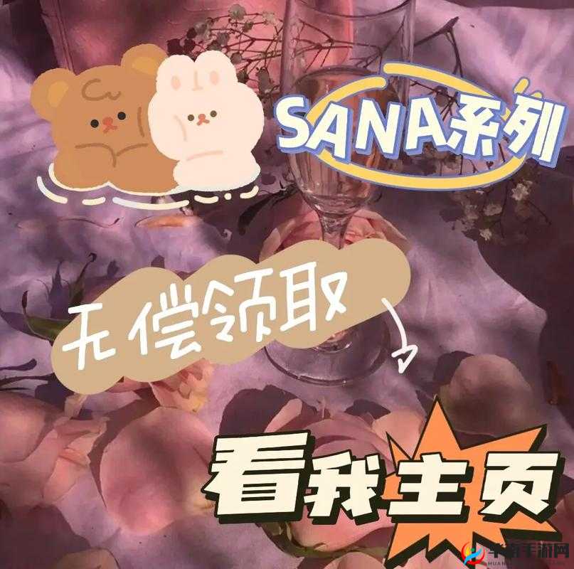 SANA地下偶像未增删带歌词之精彩解析与深入探讨