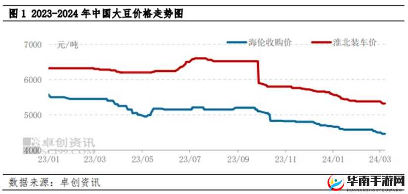 大豆行情网免费 v：实时行情分析与资讯共享
