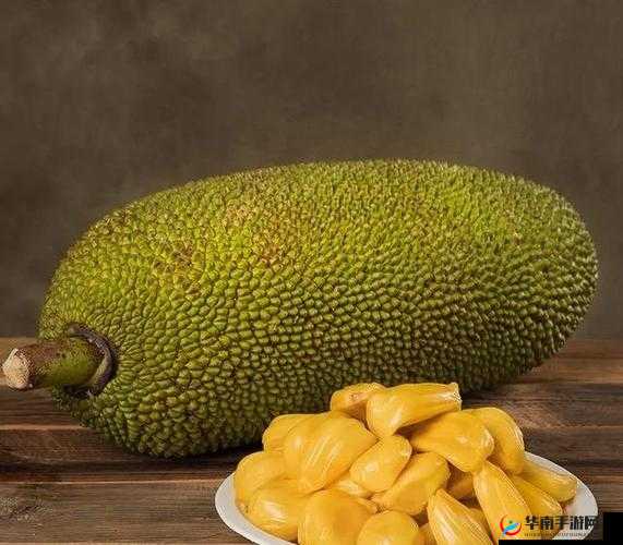 探秘亚精产品一三三三菠萝蜜：关于其独特之处及市场前景的深入分析