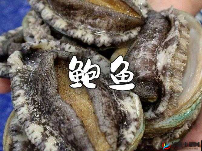 你的鲍鱼里会有别人的酸奶吗？这其中究竟隐藏着怎样的秘密