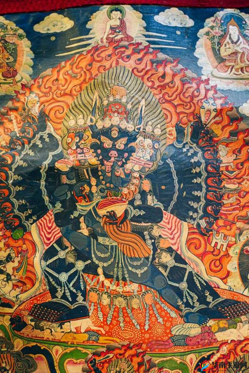 贪狼，神秘与力量的化身