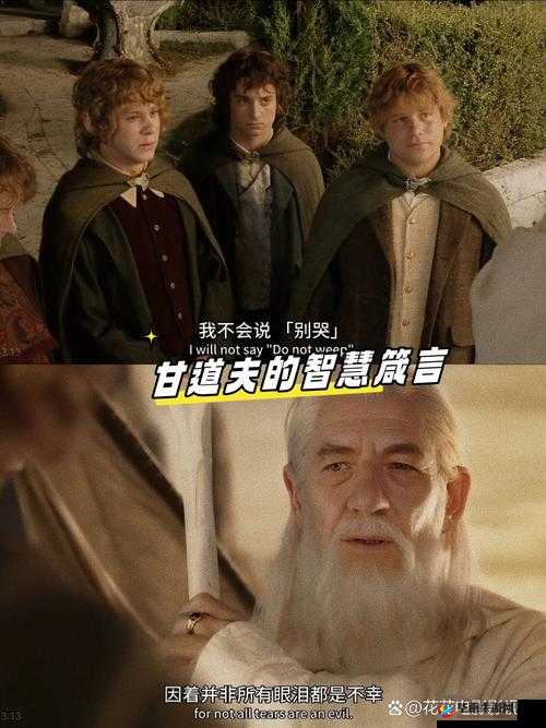 指环王降临，揭秘上单炼金指环王套路出装技巧