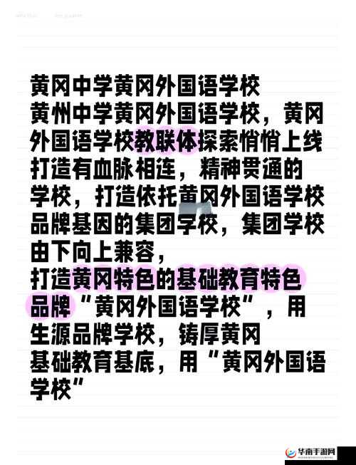 国外黄冈 B 站：探索教育新领域的独特平台