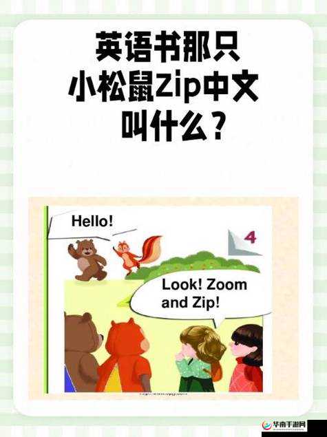 Zoom 与动物 Zoom 的奇妙互动之旅