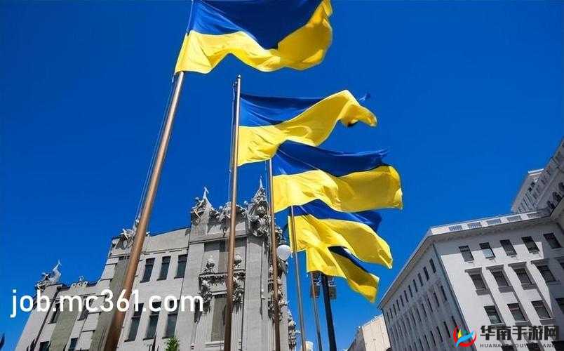 tttzzz 传送门 2023：关于它的详细介绍与深度解析