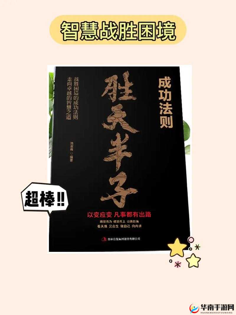 风云天下重燃,布阵艺术,策略致胜的秘籍