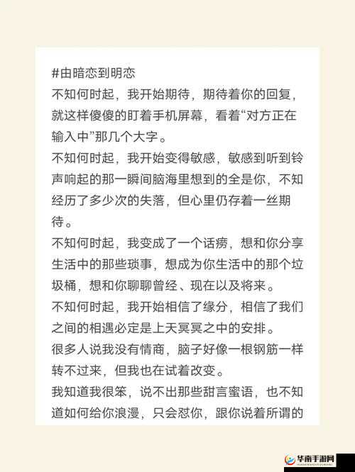 暗许（1v1 年下）：从暗恋到明恋的秘密