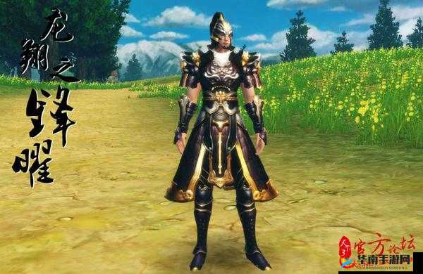 天下手游各职业80战场套与世界套推荐，资源管理的艺术