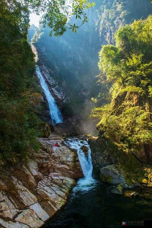 如饥似渴的水帘白瀑下那一丛金黄的独特景致