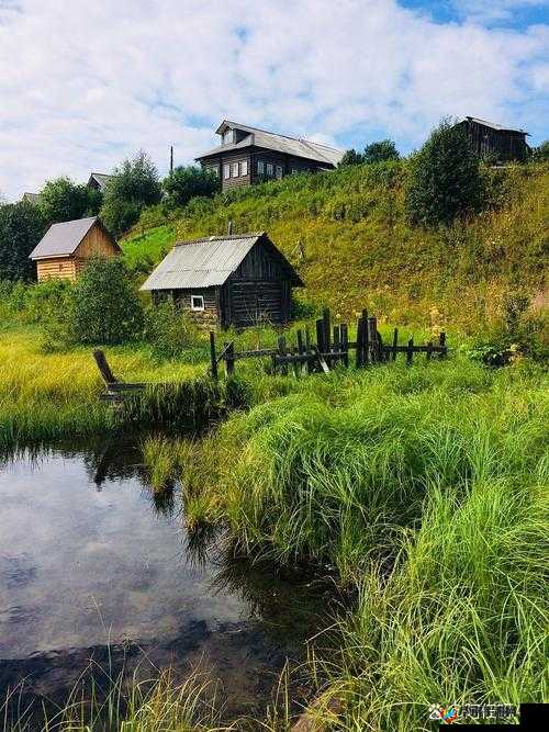 乡村风流:回归自然的别样生活