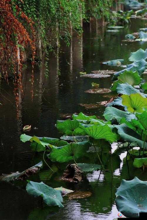 两峰夹溪,地湿无泥,诗意盎然