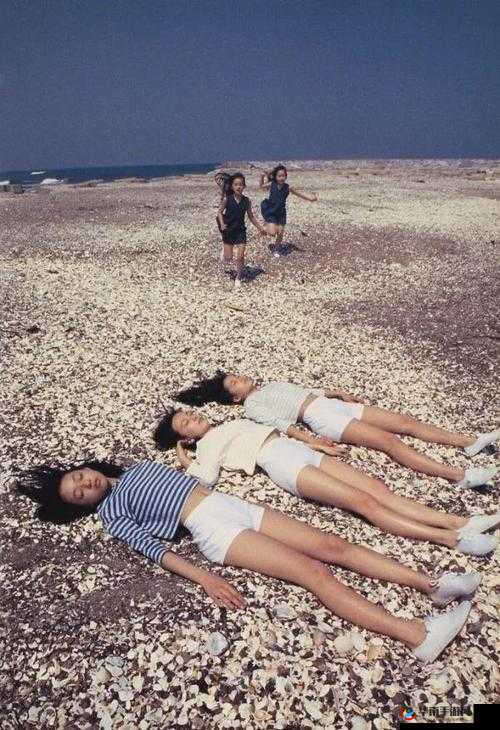 日本最大但人文艺术第一组：探索其独特魅力与深厚内涵