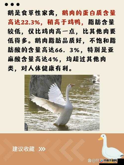 人与畜禽在某些方面具有共性及相互关联的探讨