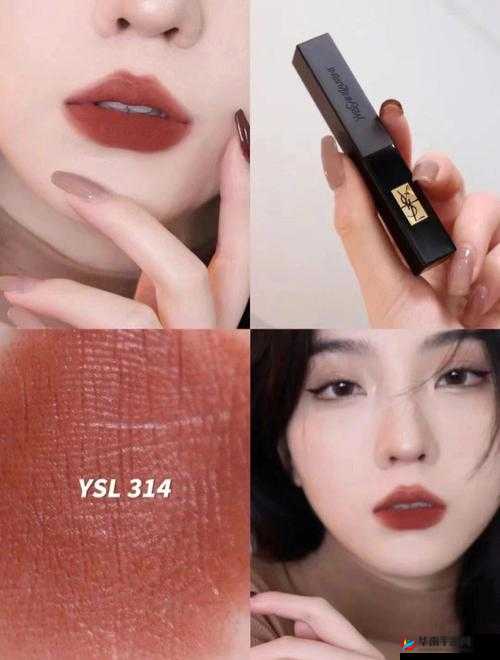 Ysl 蜜桃棕调色技巧 让你的妆容更出众