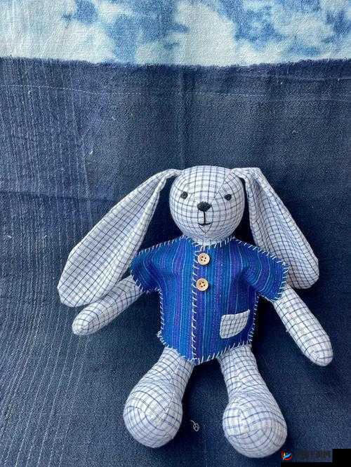 尺寸 po 长耳兔适合哪种服饰-深入探索与时尚搭配建议