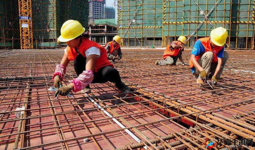 中国 VPSWIOWS 野外农民工的奇妙之处究竟何在