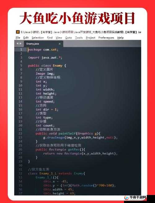人狗大战 JAVA 代码编程之乐：探索代码世界的奇妙冒险