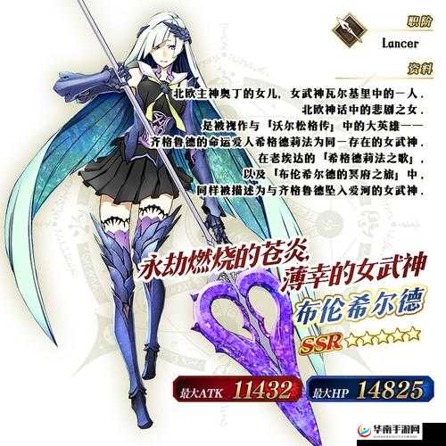 命运冠位指定FGO,布伦希尔德,暴击队副手的璀璨新星