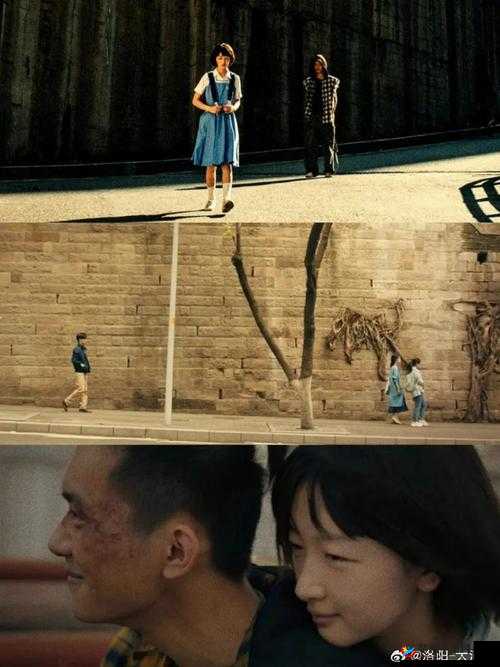 严肃且适合二人看的小电影南瓜:一部别样的精彩之作