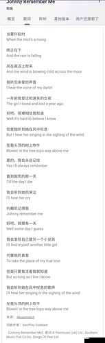 女性のトップさくらい歌词解析：深度挖掘其中的情感密码