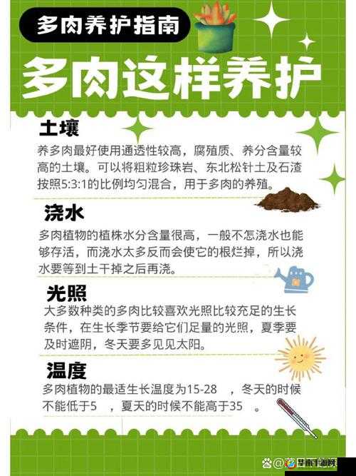 皇家共享小公主多肉怎么养多肉秘籍：实用技巧与精细养护指南