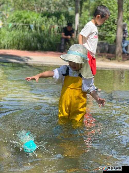 带你回家怎么玩儿：畅享趣味十足的回家之旅玩法