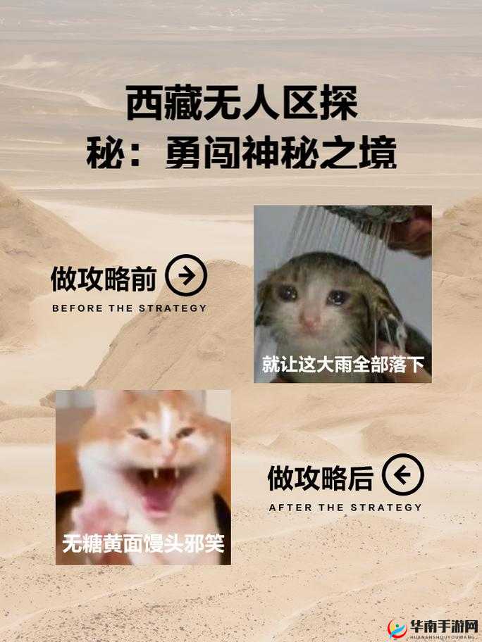 无人区码一码二码三码区探秘：神秘区域背后的故事与秘密