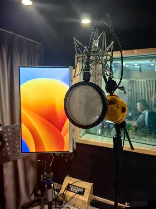 阿姨呀啊咿呀 BGM 带来的奇妙旋律与故事