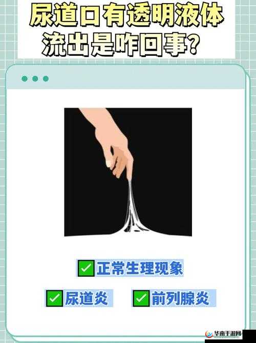 下面流了好多透明液体怎么回事无广告版：探寻原因与解决之道